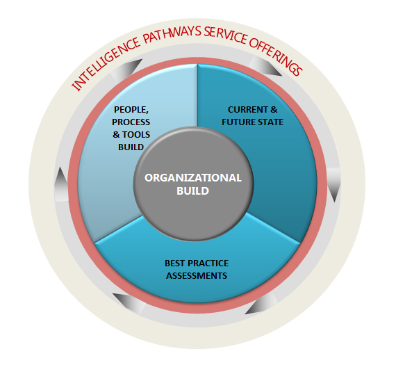 Intelligence Pathways organizational build services
